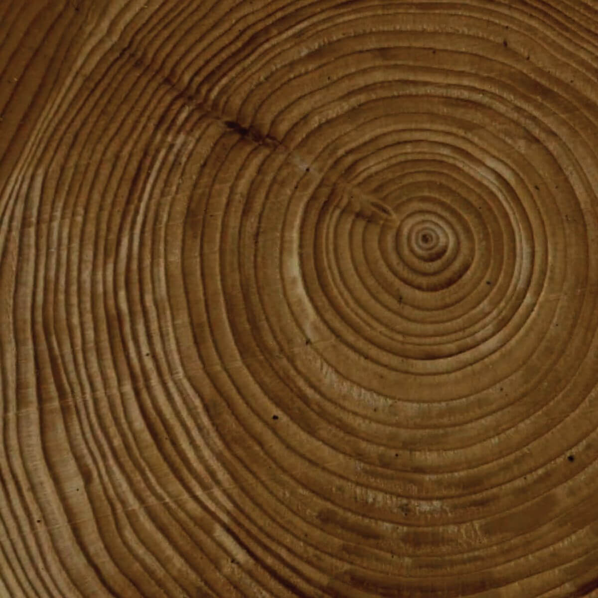 Image of woodgrain rings